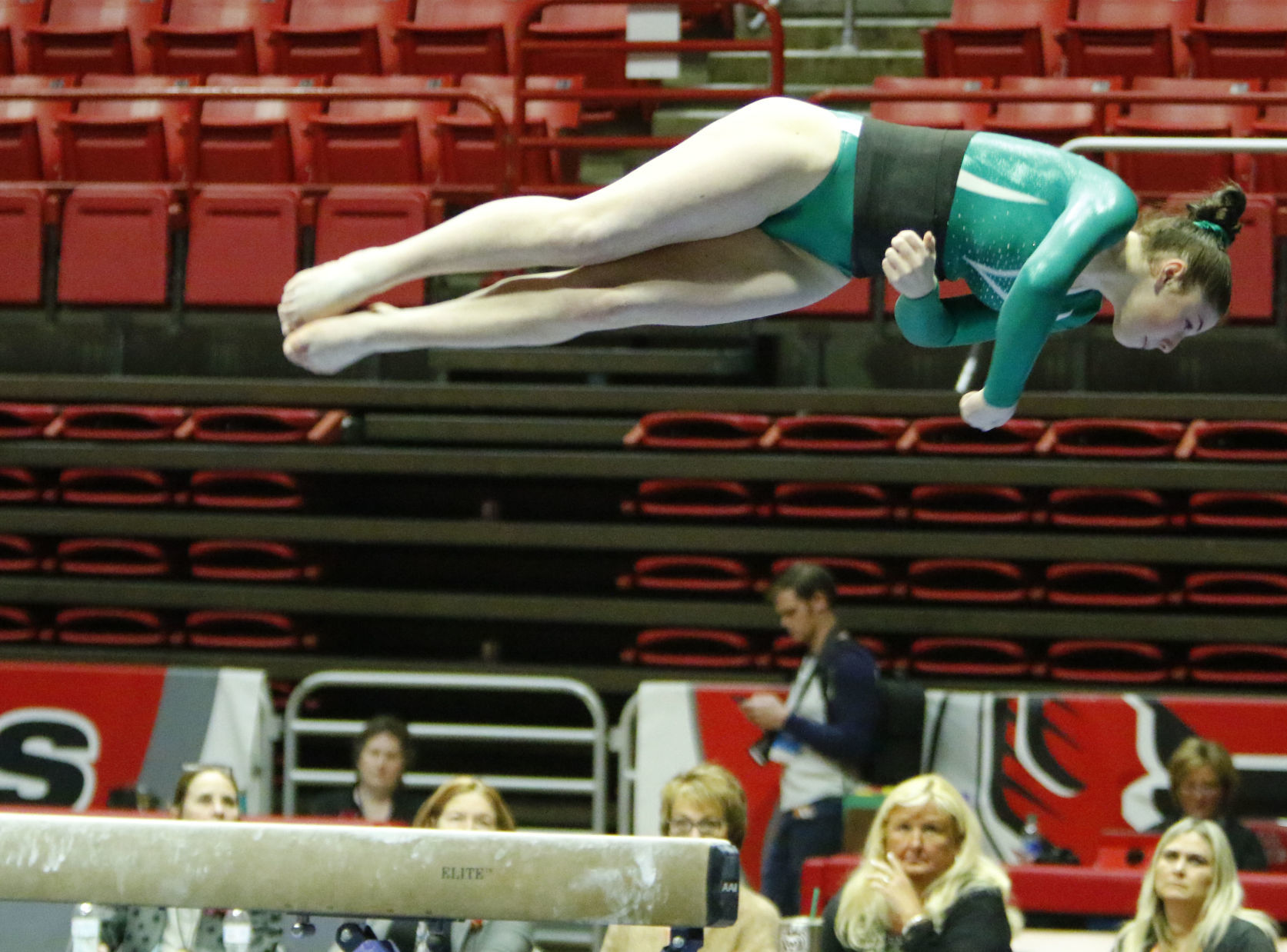Gallery: Gymnastics state finals